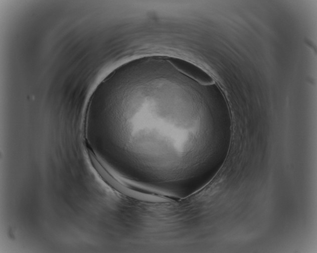 X0000095681536200801221215