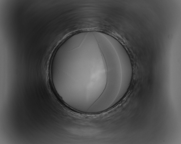 X0000095680002200801291206