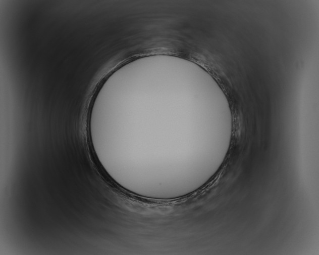 X0000095680004200801291206