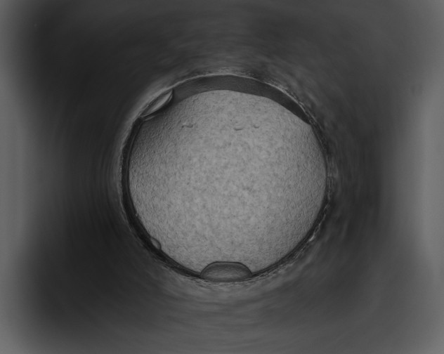 X0000095680006200801291206