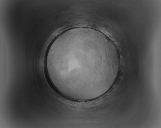 X0000095680007200801291206