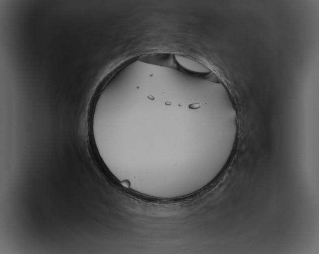 X0000095680008200801291206