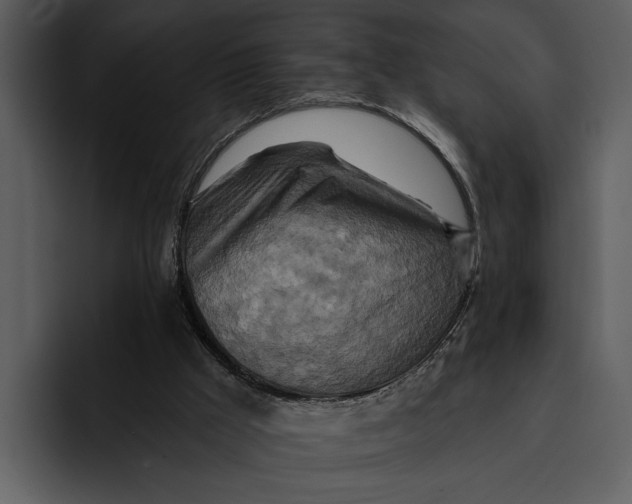 X0000095680009200801291206