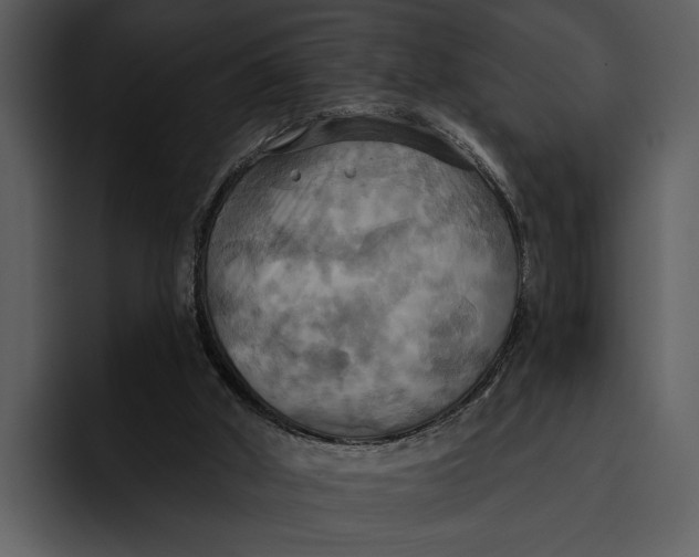 X0000095680010200801291206