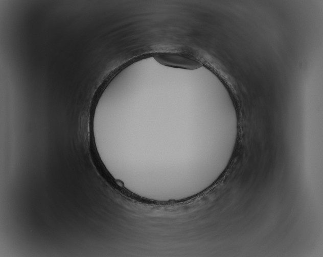 X0000095680011200801291206