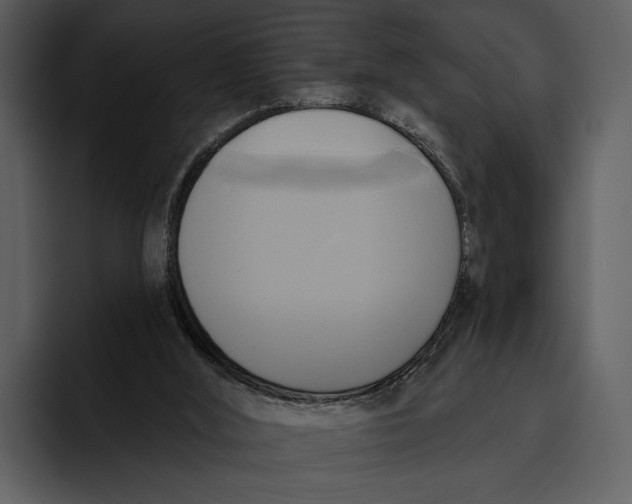 X0000095680012200801291206