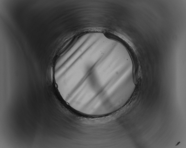 X0000095680013200801291206