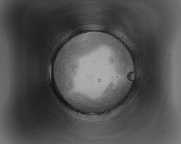 X0000095680014200801291206