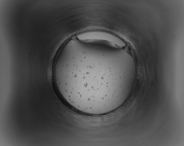 X0000095680015200801291206