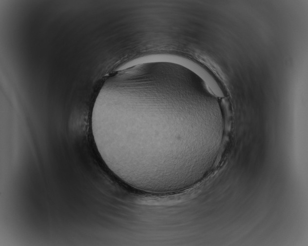 X0000095680017200801291206