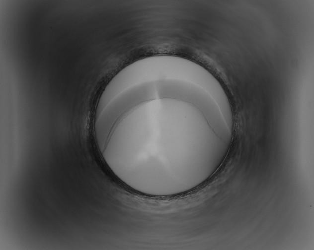 X0000095680018200801291206