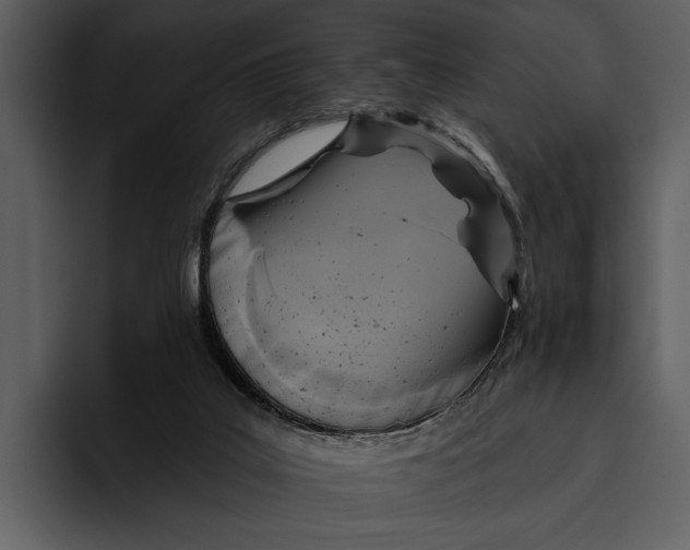 X0000095680019200801291206