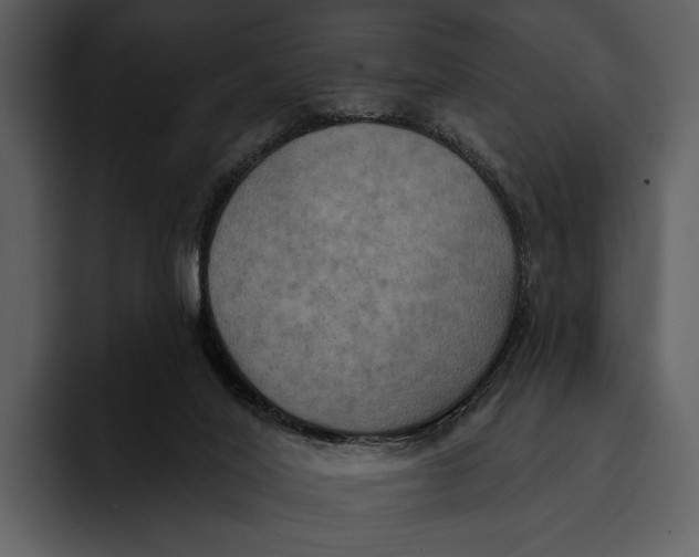 X0000095680020200801291206