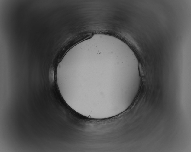 X0000095680021200801291206