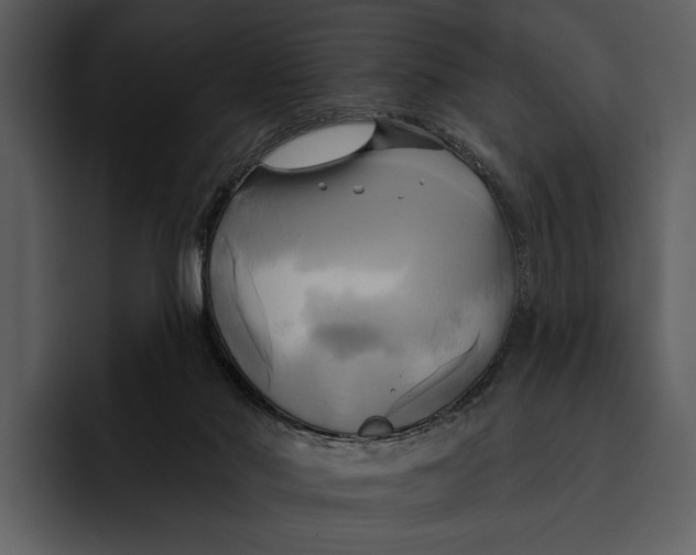 X0000095680022200801291206