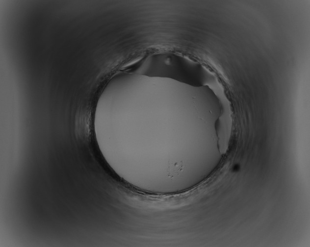 X0000095680023200801291206