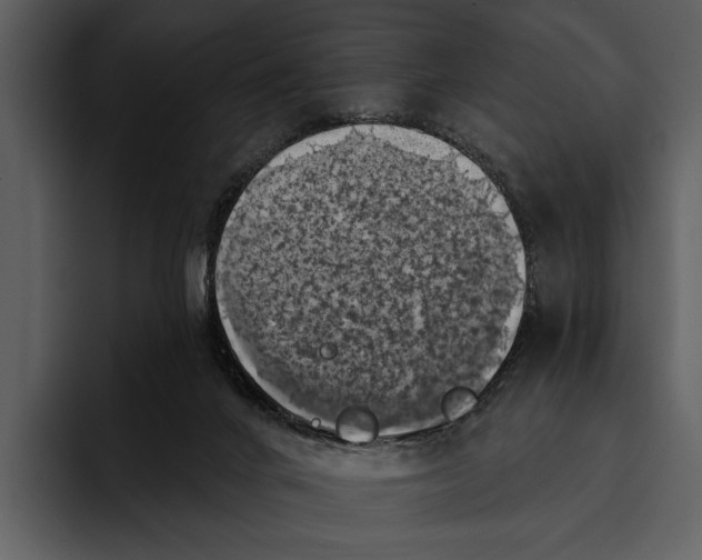 X0000095680024200801291206