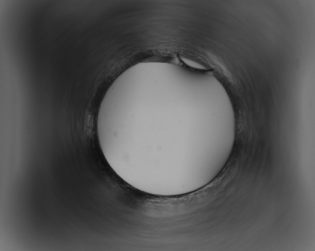 X0000095680025200801291206