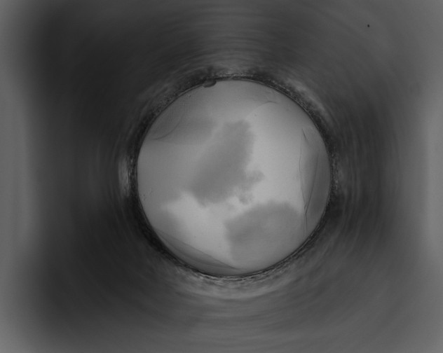 X0000095680026200801291206