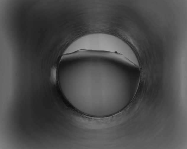 X0000095680027200801291206