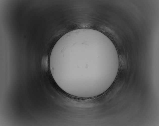 X0000095680028200801291206