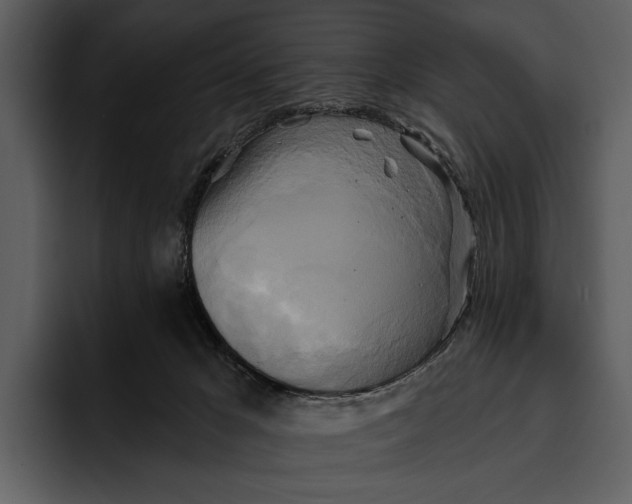 X0000095680029200801291206