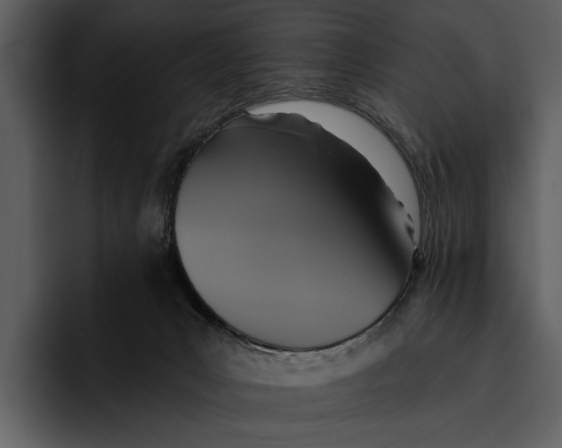 X0000095680031200801291206