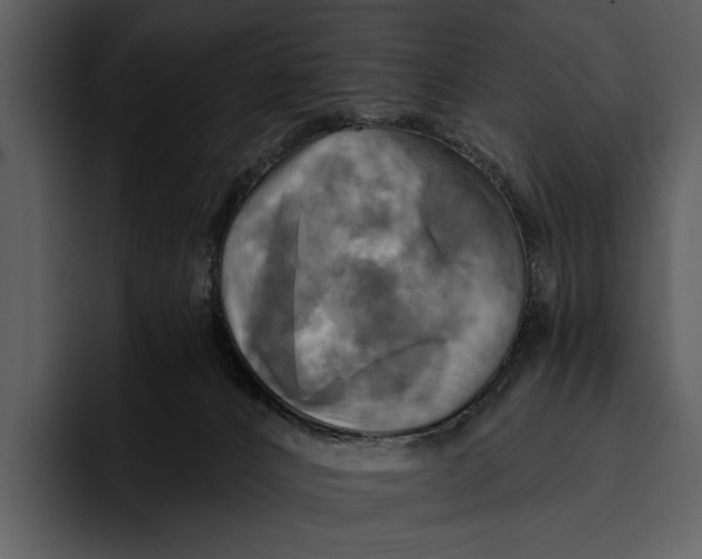 X0000095680032200801291206