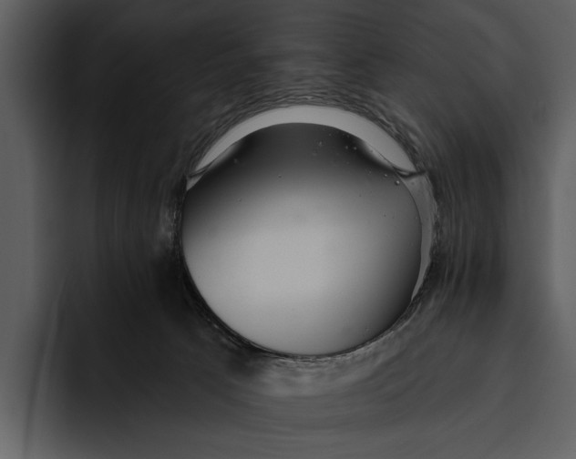 X0000095680033200801291206