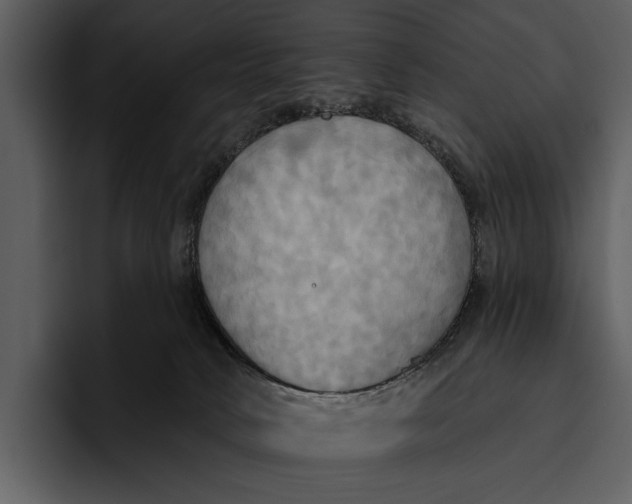 X0000095680034200801291206