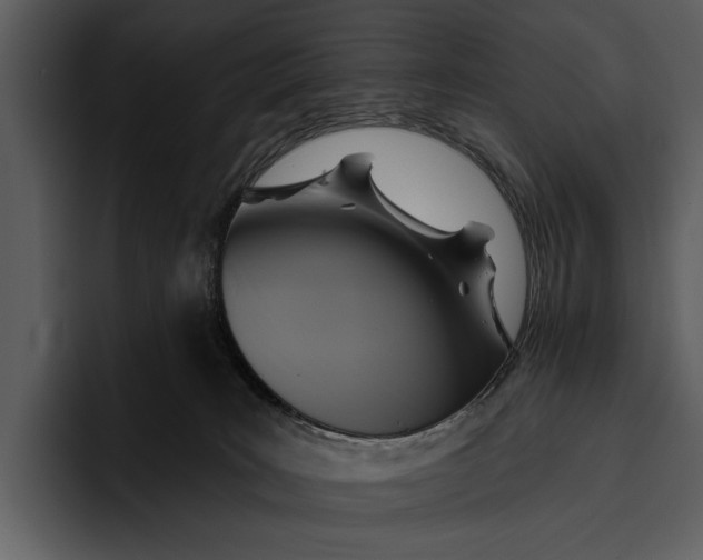 X0000095680035200801291206