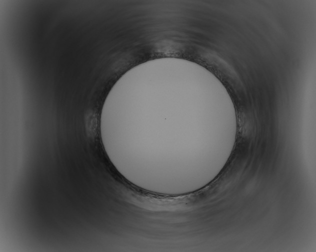 X0000095680036200801291206