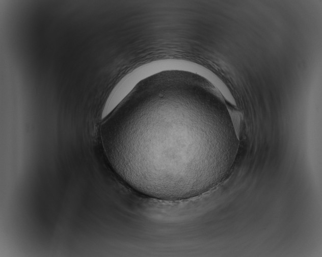 X0000095680037200801291206