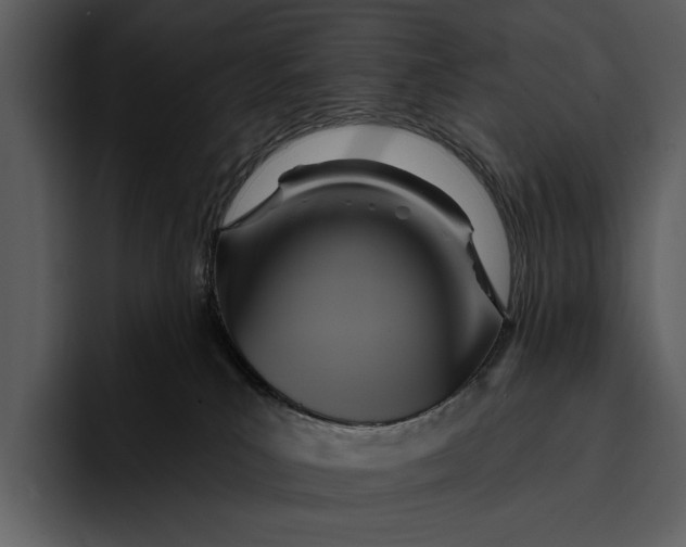 X0000095680039200801291206