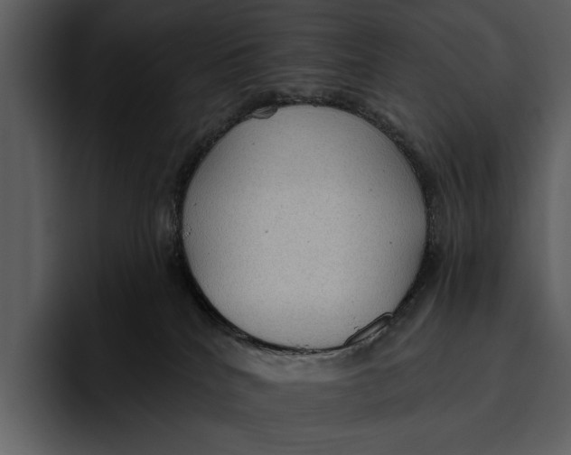 X0000095680040200801291206