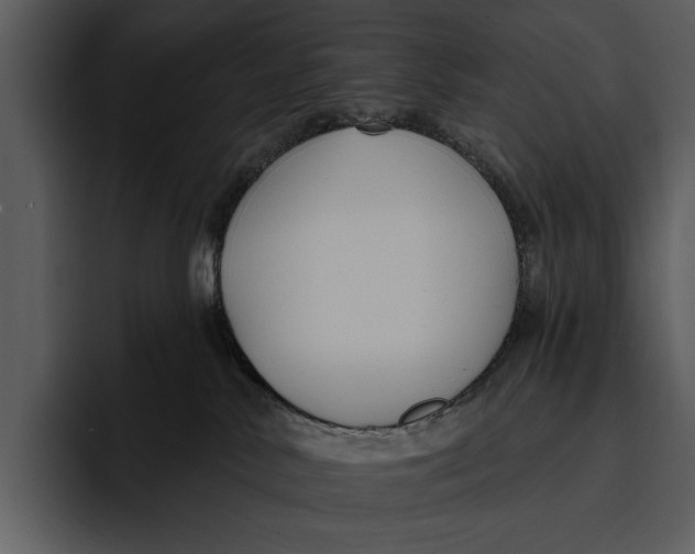 X0000095680042200801291206