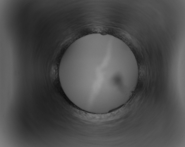 X0000095680043200801291206