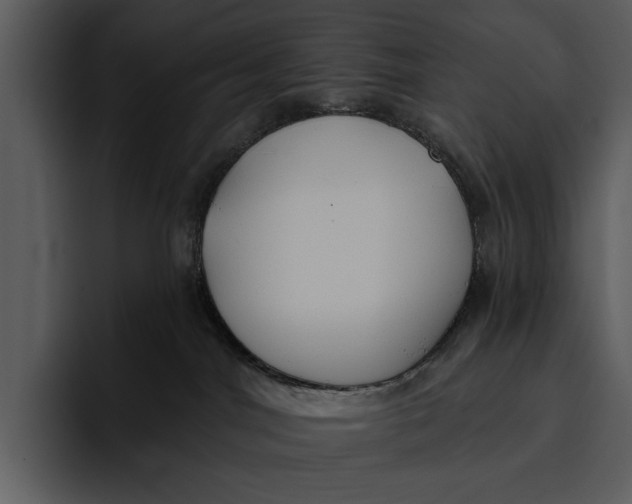 X0000095680044200801291206