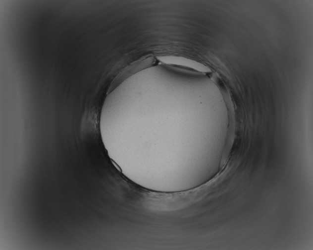 X0000095680045200801291206