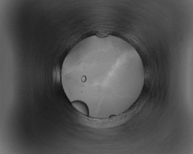 X0000095680046200801291206