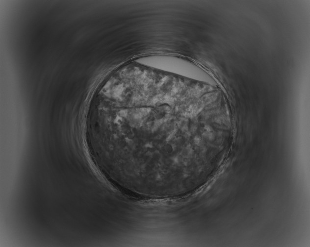 X0000095680049200801291205