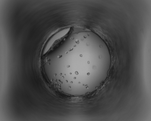 X0000095680050200801291205