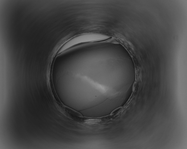 X0000095680051200801291205