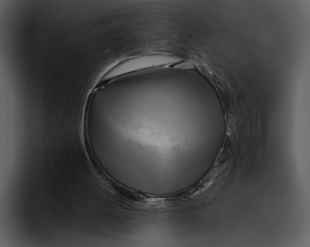 X0000095680052200801291205