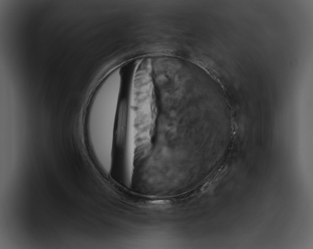 X0000095680053200801291205