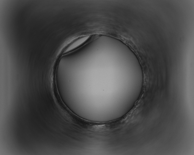 X0000095680054200801291205