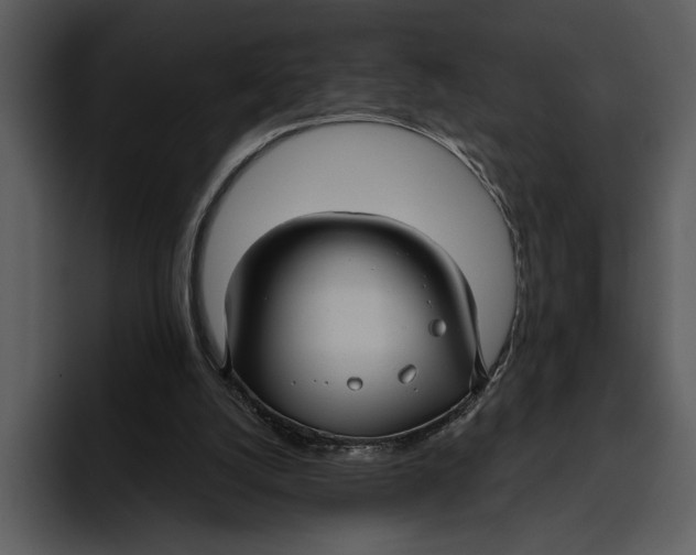 X0000095680056200801291205