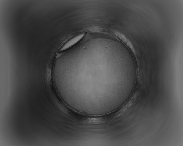 X0000095680057200801291205