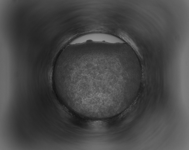 X0000095680058200801291205