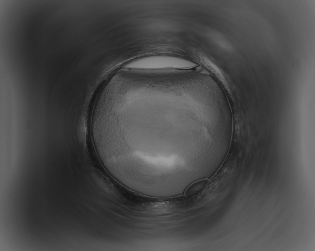 X0000095680059200801291205